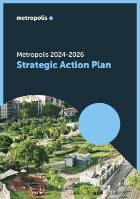 Action Plan 2024-206 cover