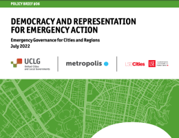Cover DEMOCRACY AND REPRESENTATION FOR EMERGENCY ACTION