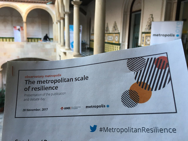 The metropolitan scale of resilience