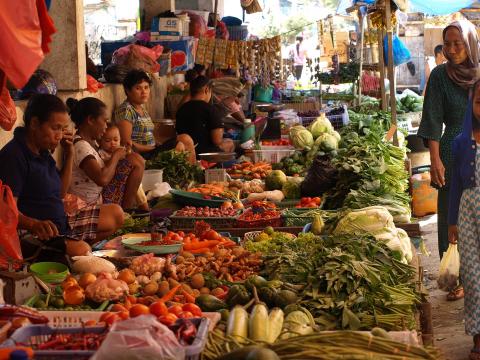 Surplus Food Network