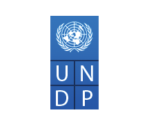 UNDP logo