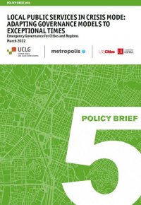 Emergency Governance Initiative Policy Brief 05