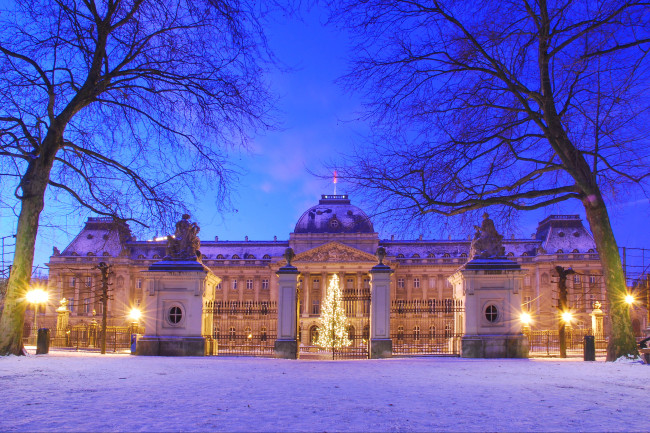 Brussels floral carpetBrussels CinquantenairePalace Square BrusselsKoniglicherpalast