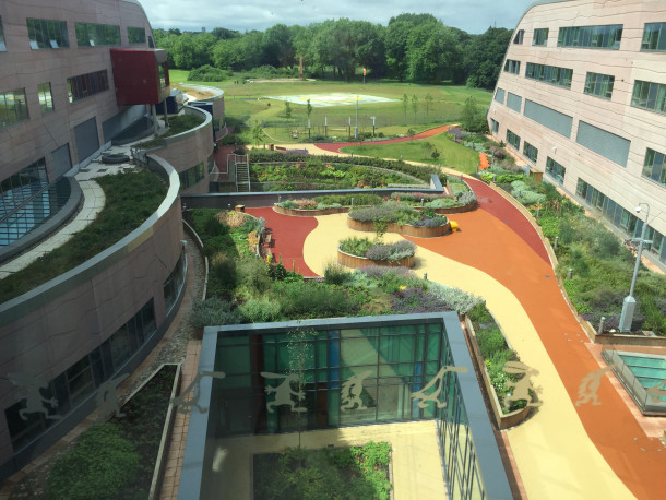Liverpool workshop climate + alder hey hospital outdoors