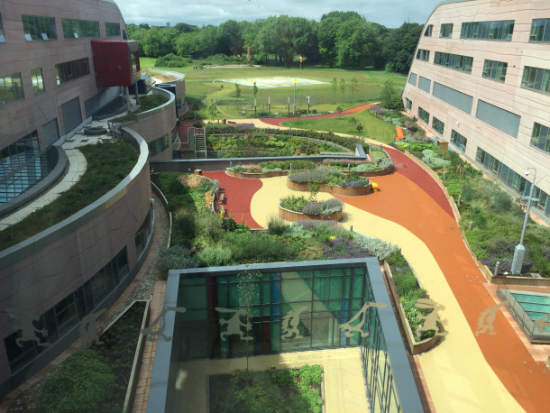 alder hey hospital outdoors