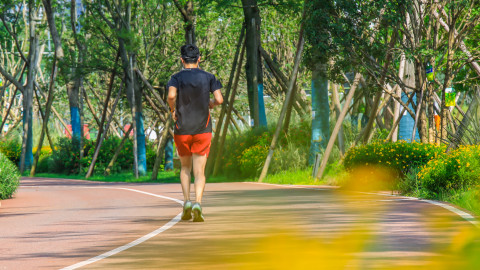 Greenway at Guixi Eco Park