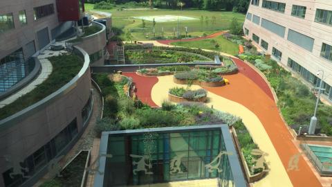 alder hey hospital outdoors