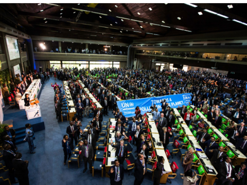UN Environment Assembly