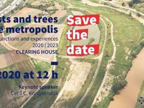 Forests and trees of the Metropolis. Benefits, functions and experiences