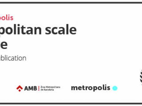 The metropolitan scale of resilience